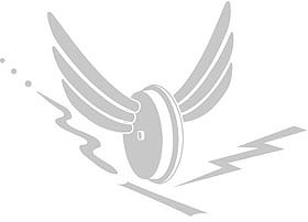 Fluegelrad